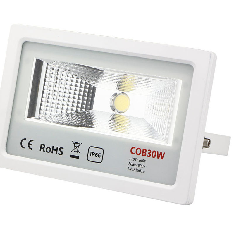 5pcs/lot COB Flood lamp 30W 50W 100W Warm White Cool White ac85-265v LED Floodlight Outdoor Lighting Wall Garden spot light
