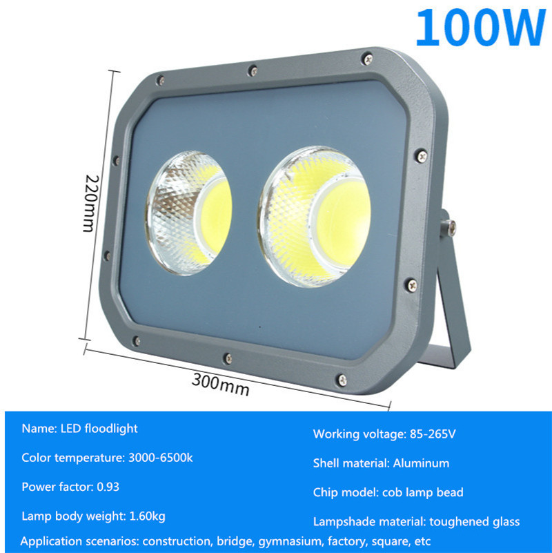 50W LED Flood Light Floodlight COB IP65 Waterproof Outdoor Wall Reflector Lighting Garden Square Spotlight Cold White 220V 110V