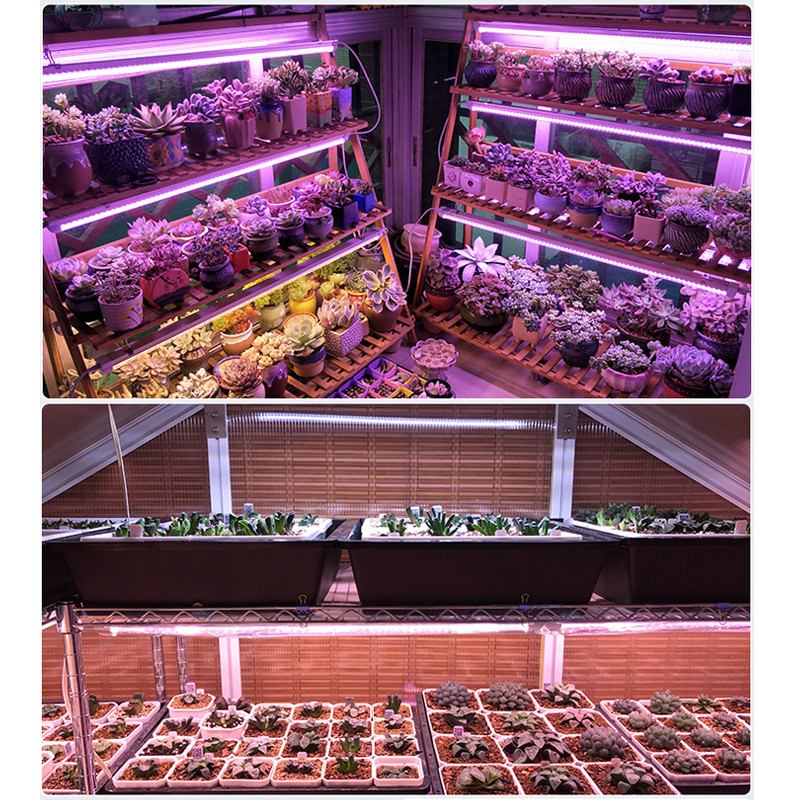 LED Grow Light 50W 100W Full Spectrum Phyto Flood lights Iodine Lamp AC 220V LED Grow Lamp Waterproof ip65 Support Dropship