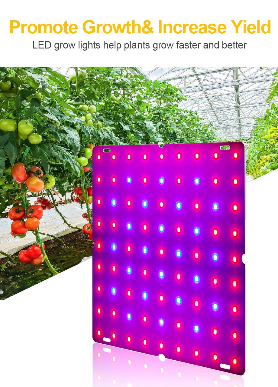 LED Grow Plant Light Phytolamp for Plants 2835 Lamp Beads Quantum Board Growth Lighting Full Spectrum Hydroponics Plant Lamp