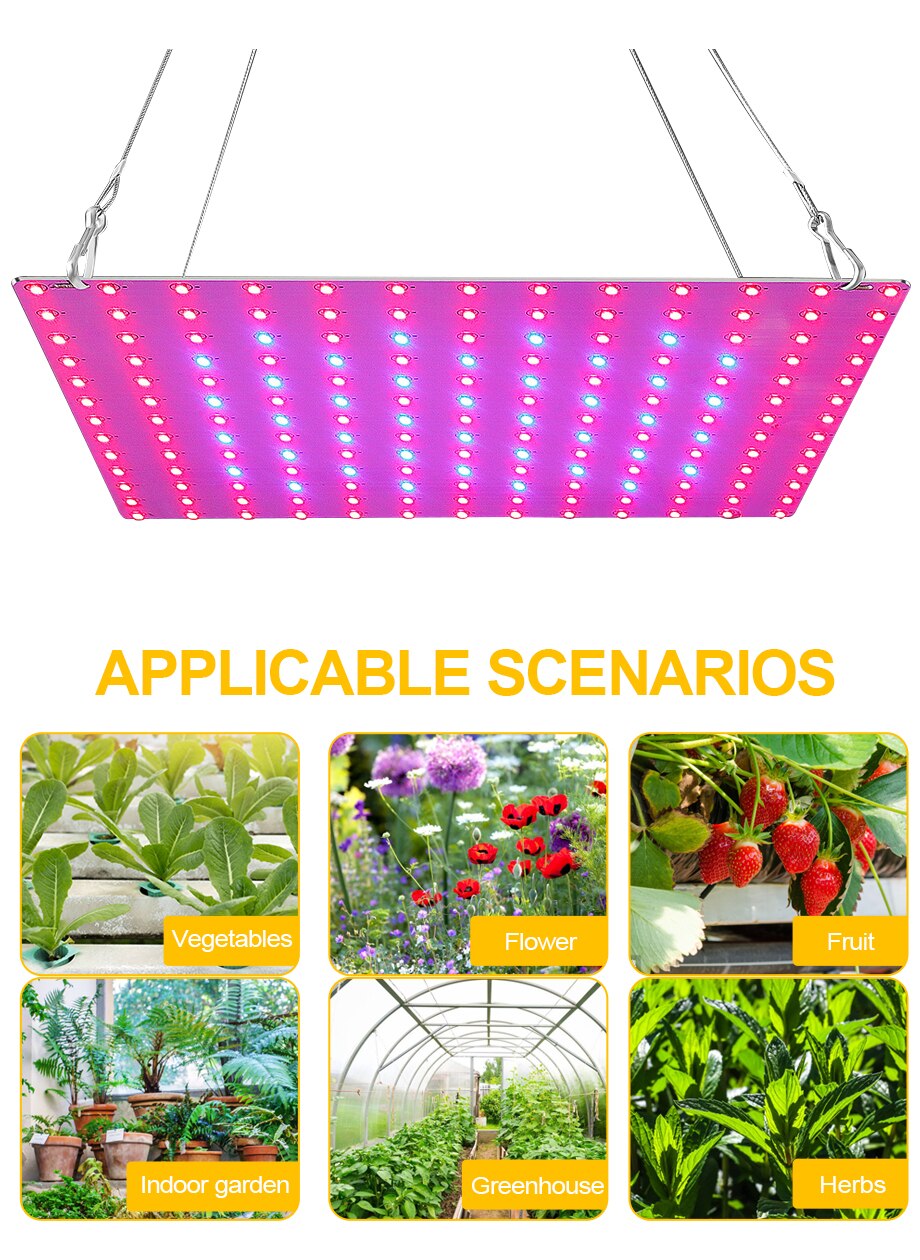 LED Grow Plant Light Phytolamp for Plants 2835 Lamp Beads Quantum Board Growth Lighting Full Spectrum Hydroponics Plant Lamp